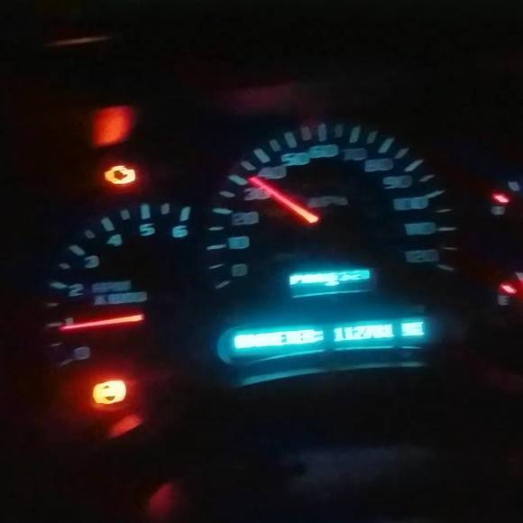 Meet your Posher, Taylor - Picture 1 of 1